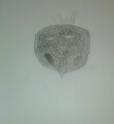 IMAG0440-1