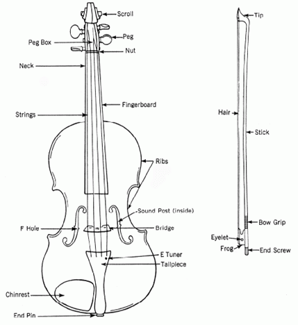 Violin parts diagram