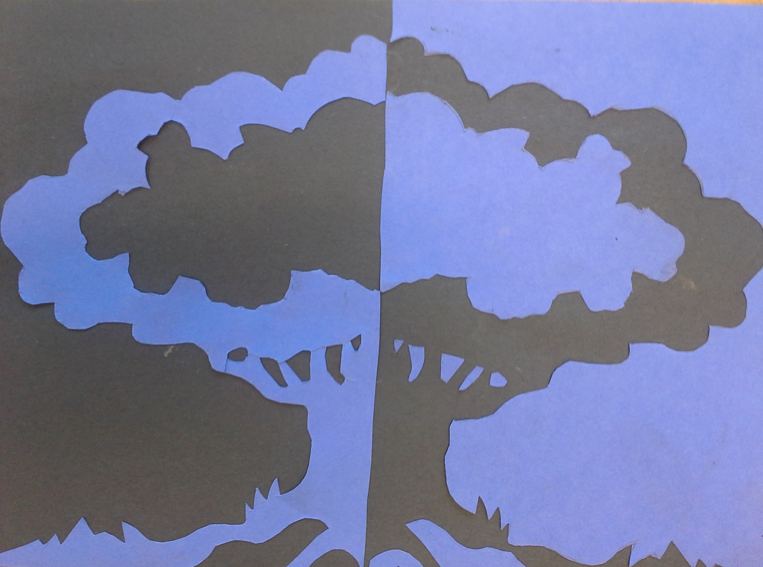 Negative Space Drawing and Cut Out Picture — Science Leadership