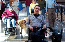 13-in+mall+w$3A+2+dogs+$26+people+in+wheelchairs