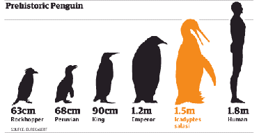 じじぃの 皇帝ペンギンの進化 地球温暖化が絶滅から救う 極限世界のいきものたち Cool Hira S Diary