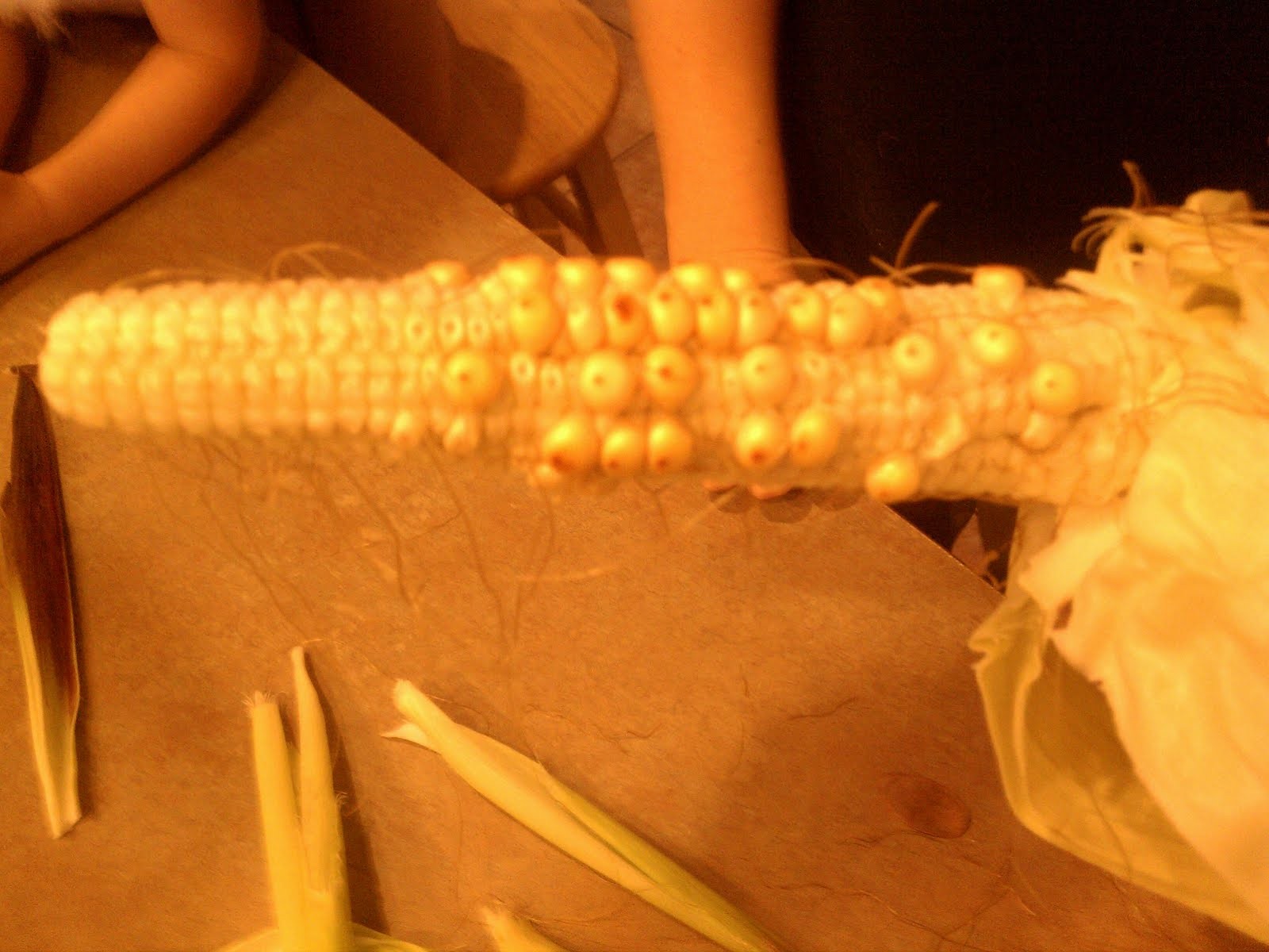 Unpollinated corn