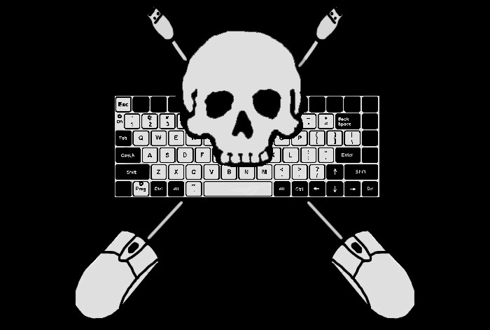 Internet_Pirate_Flag_by_Joshernaut