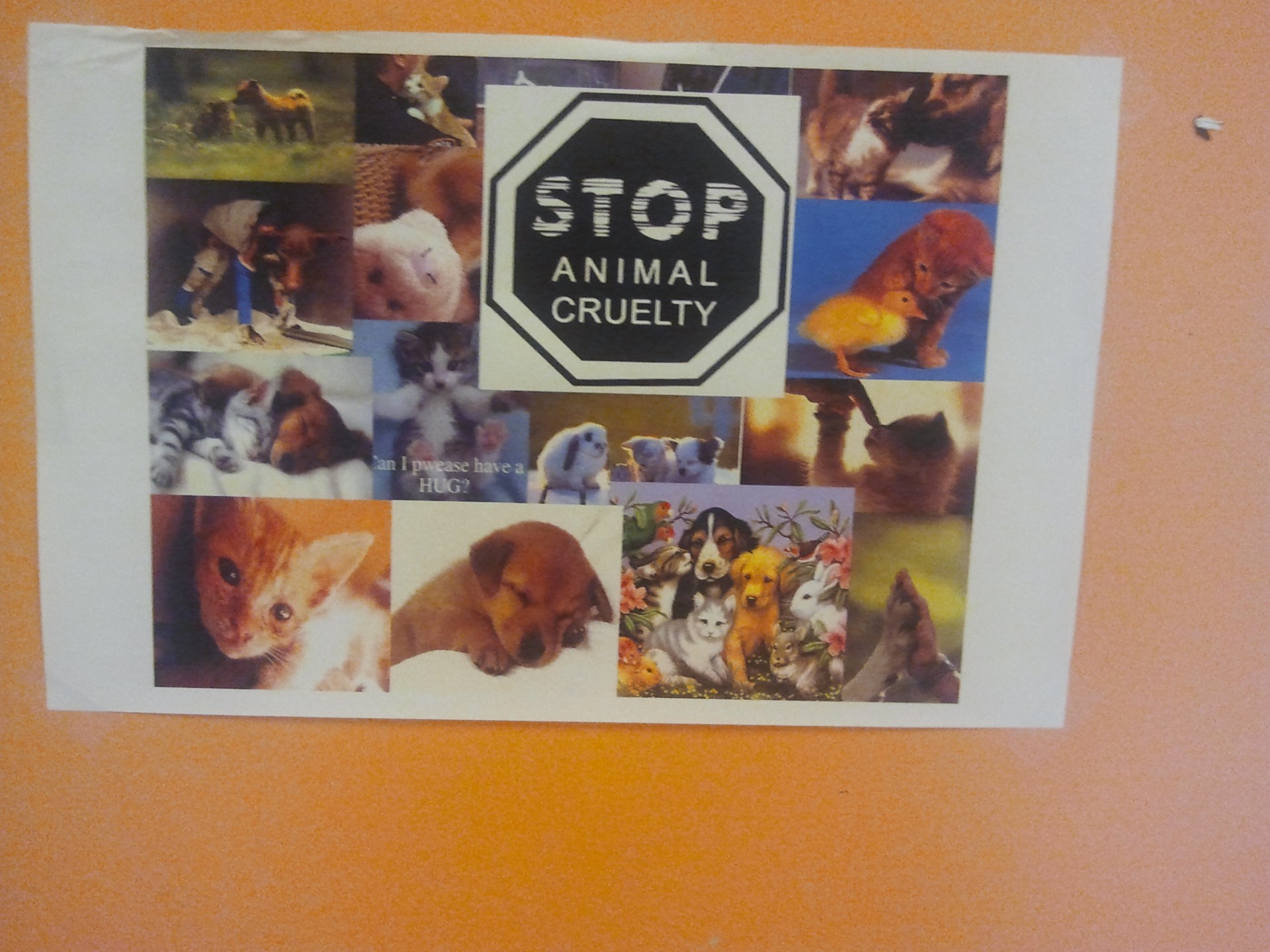 Poster for Animal Cruelty #1- Dunn