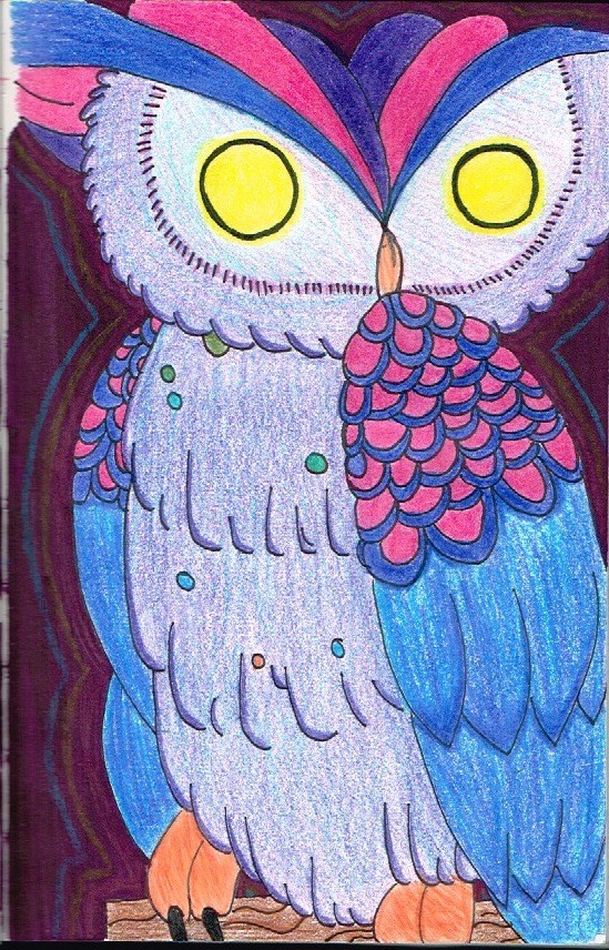 Owl 1