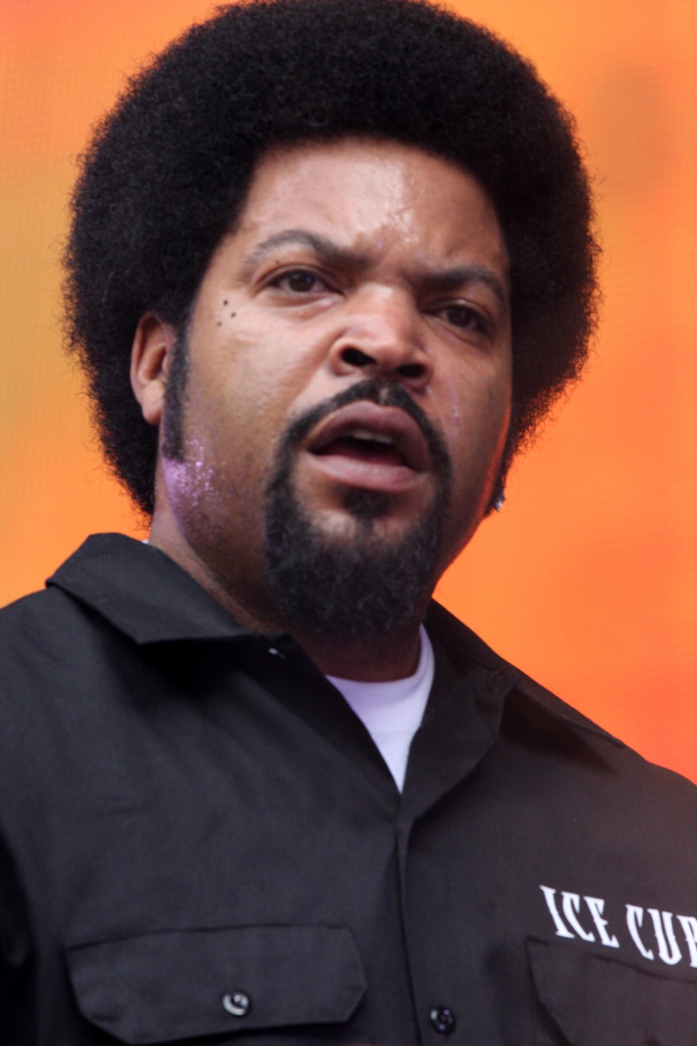 Ice_Cube_2012