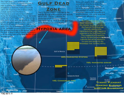 Gulf Dead Zone Infograph