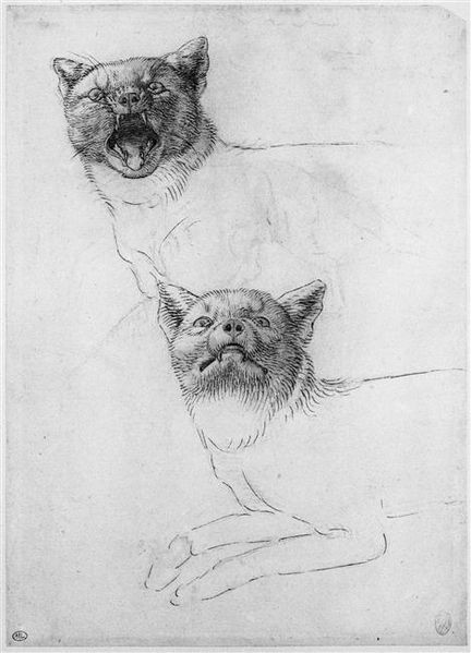 432px-Pisanello,_disegno_gatti