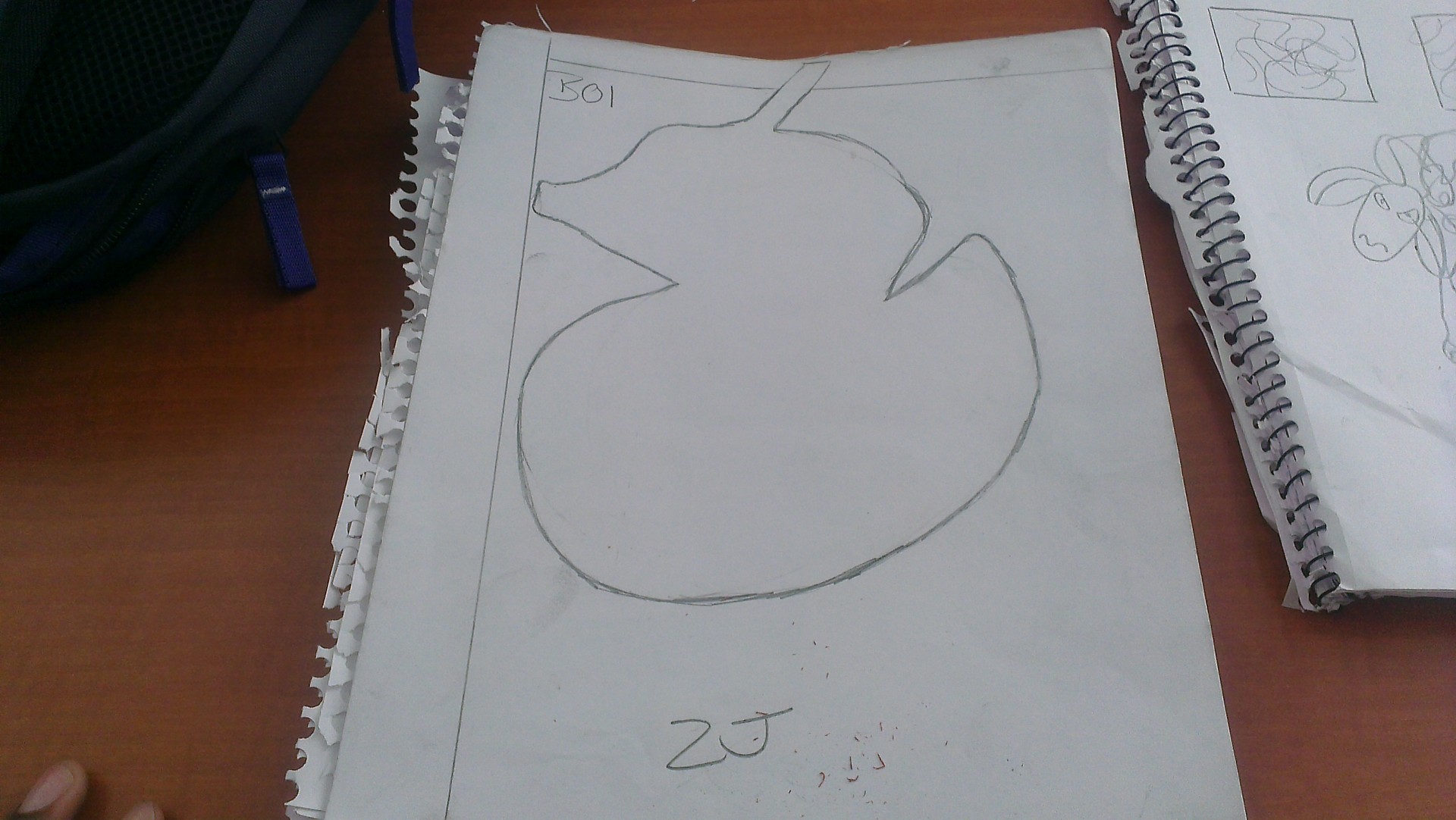 IMAG0068