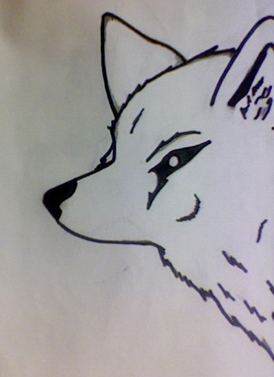 Wolf (Sharpie)