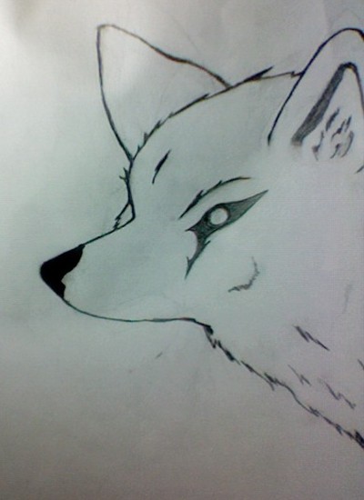 Wolf (Pencil)