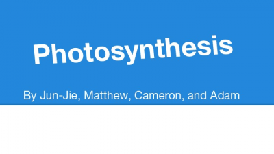 Photosynthesis Presentation