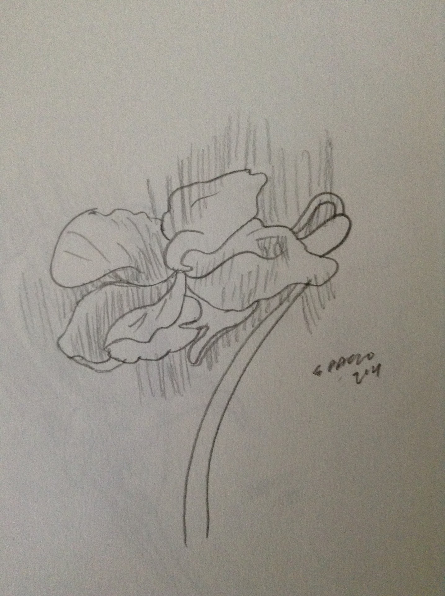 2014-06-06 17.12.48