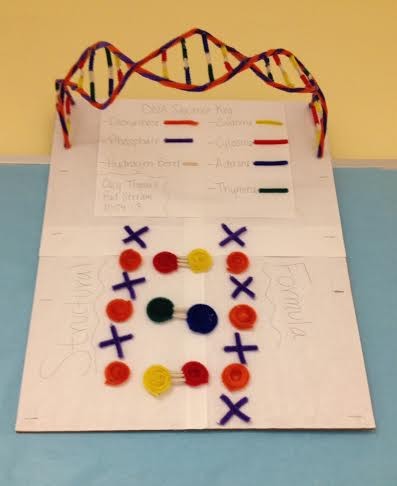 DNA Sequence Project — Science Leadership Academy @ Center City