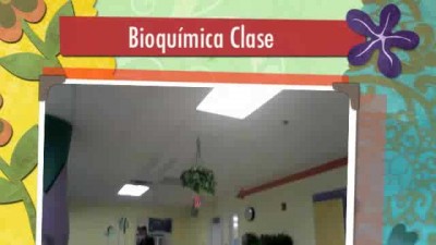 Spanish-bioquimica clase