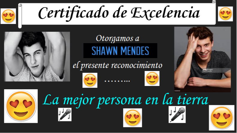 Certificado de excelencia Shawn mendes