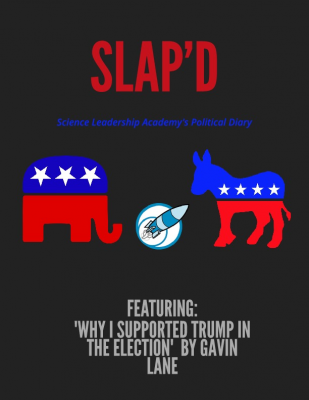 SLAP'D--Capstone (5)