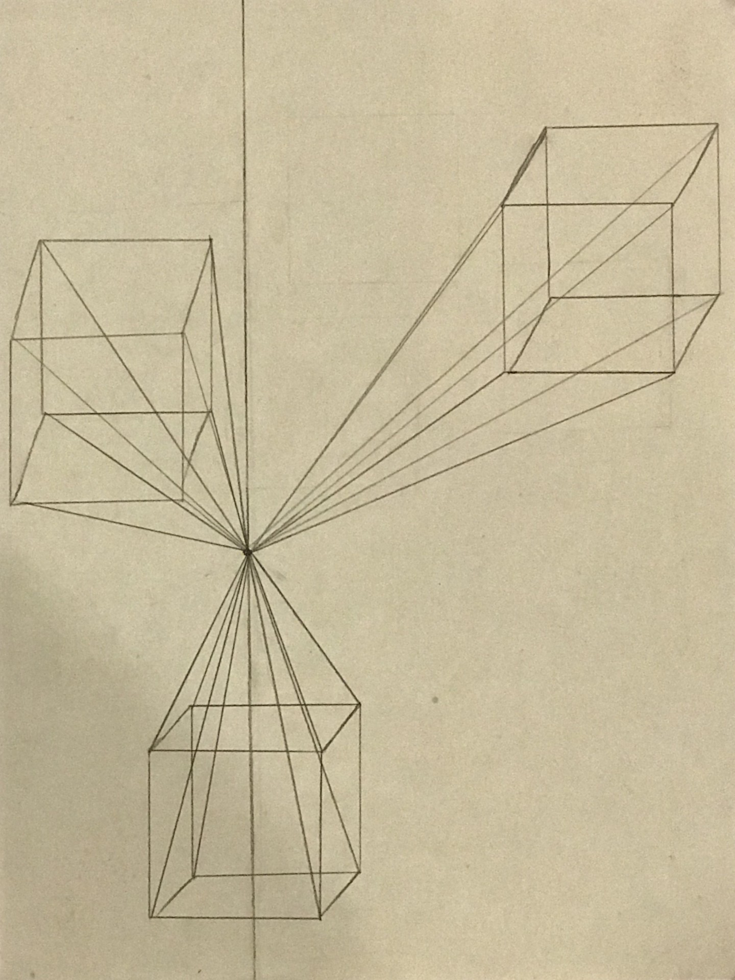 Maysa Wright Boxes in 1pt. Perspective — Science Leadership Academy ...