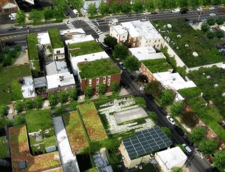 philly green roof concepts- https://technical.ly/philly/2011/06/06/city-of-philadelphia-sets-sights-on-the-most-comprehensive-network-of-green-infrastructure-in-country/