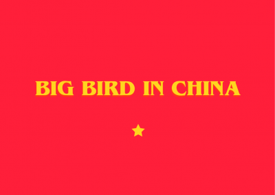 Big Bird In China