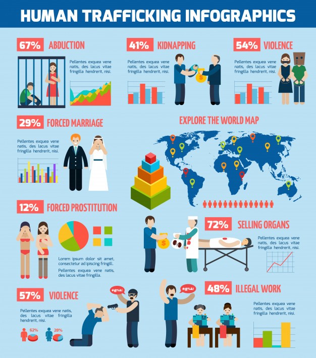 human-trafficking-report-infographic-layout-chart_1284-8451