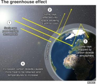 bbc greenhouse visual