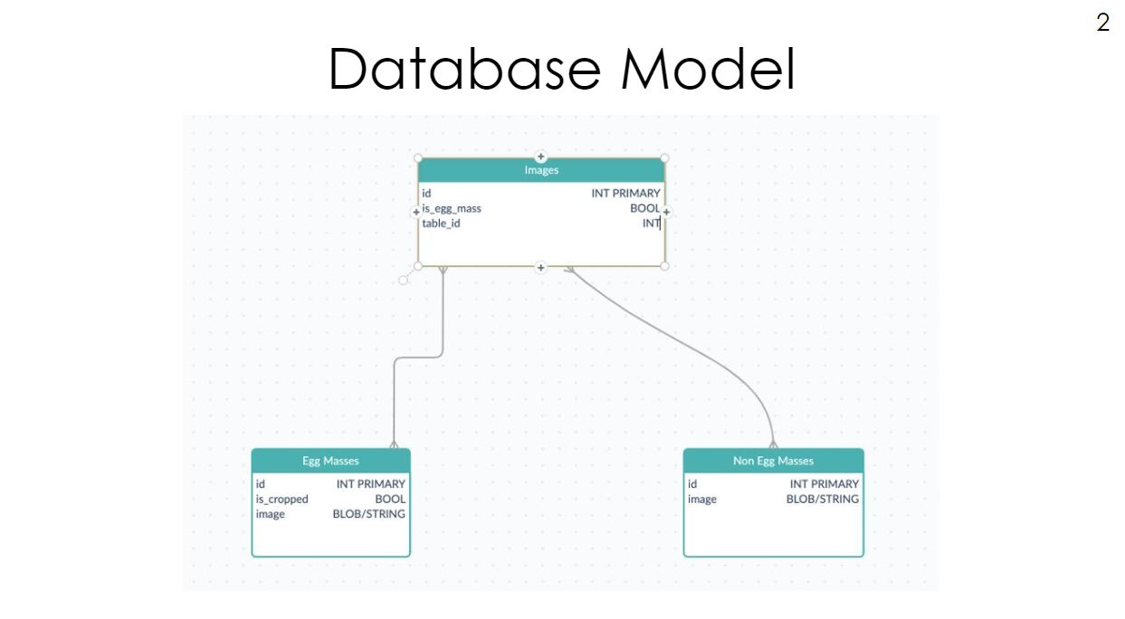 Database Model of Image Processing Algorithm