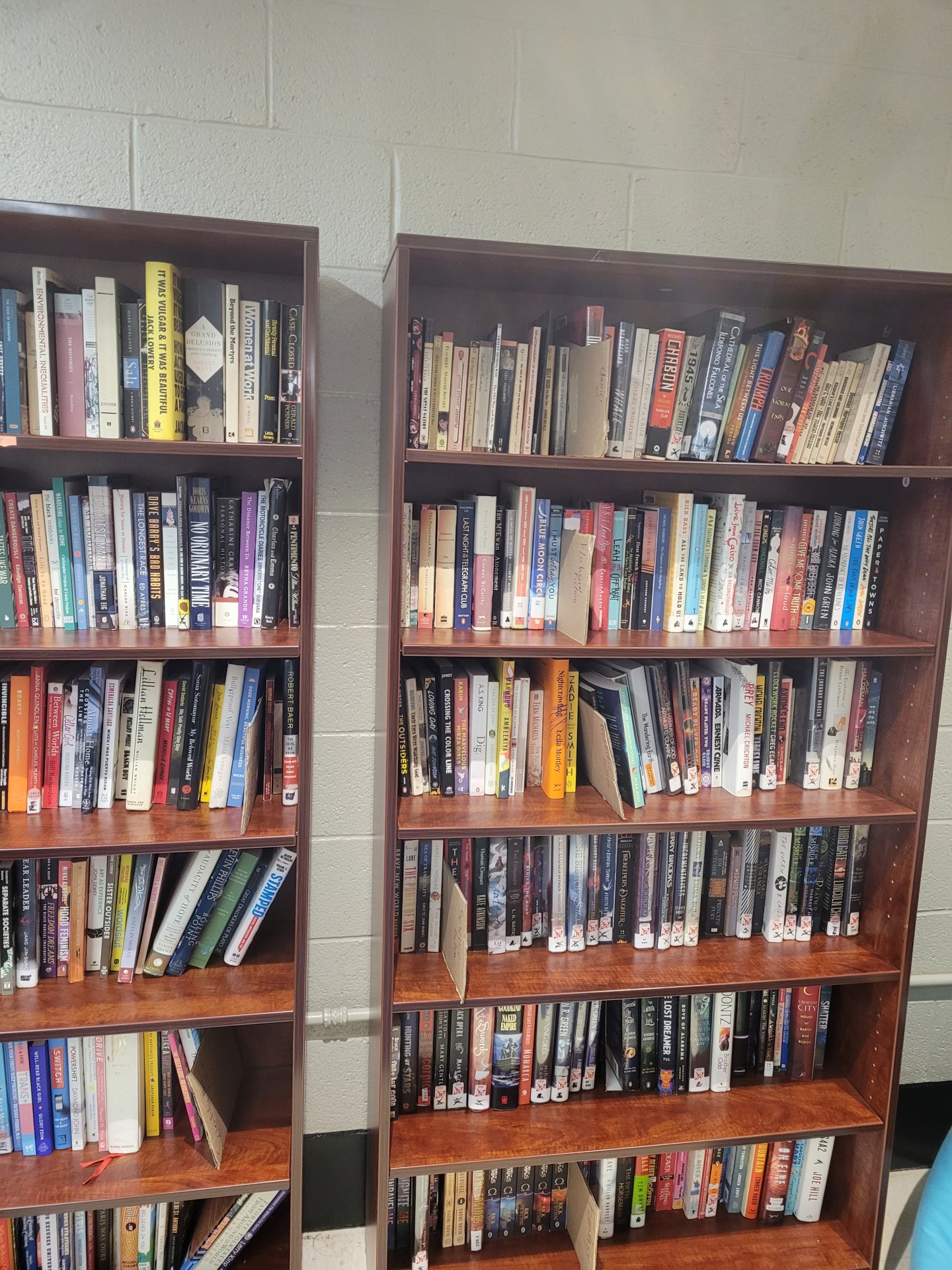 An example of fully organized shelves in the library