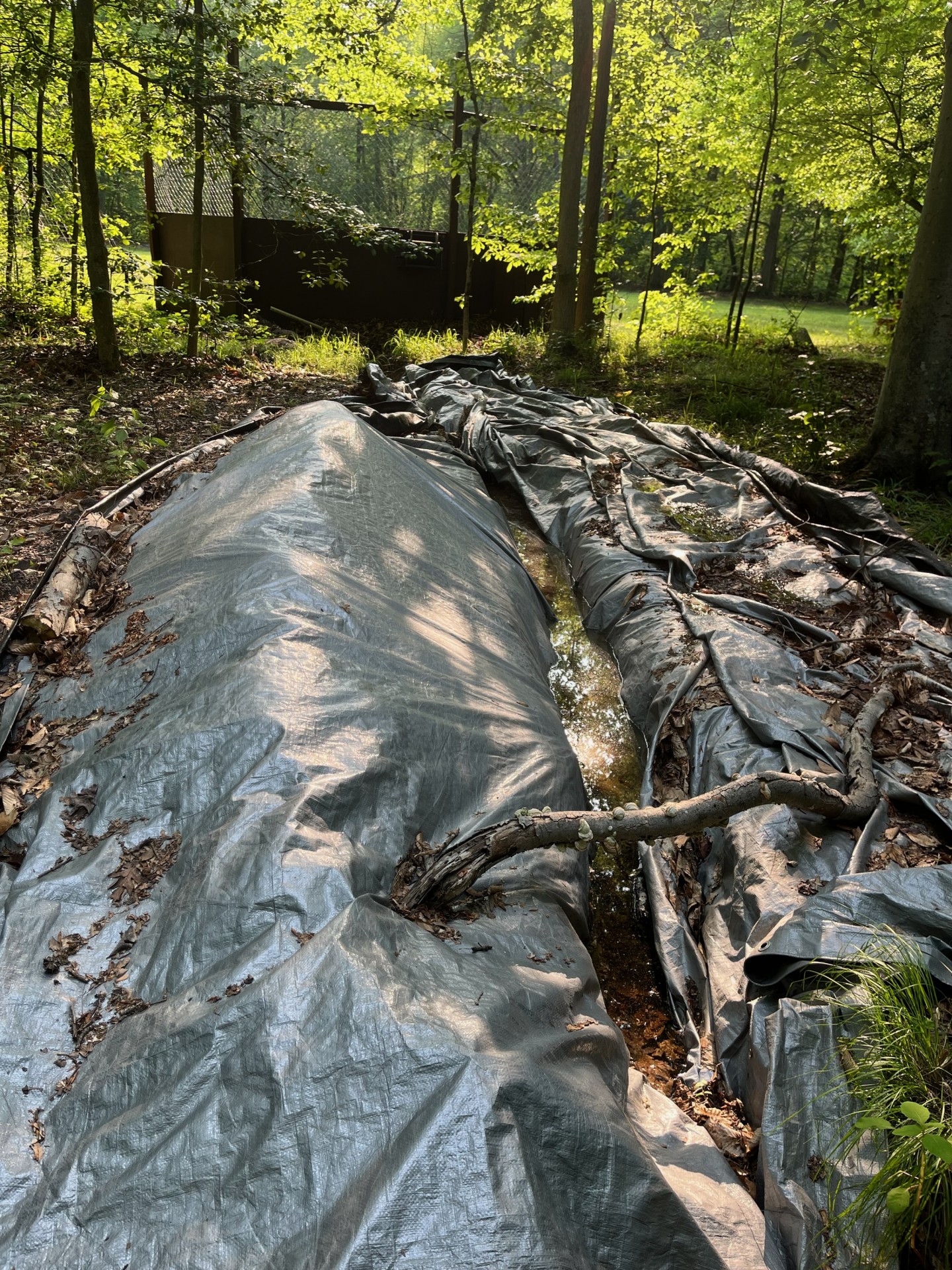 Tarped trench
