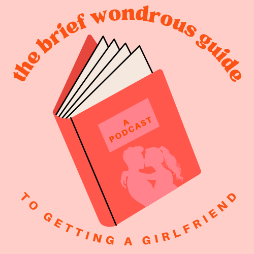 The Brief Wondrous Guide To Getting A Girlfriend