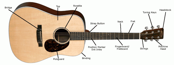 acoustic_anatomy_small