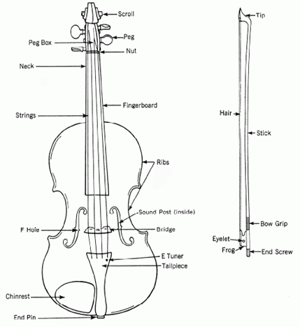 Parts Of A Cello Labeled